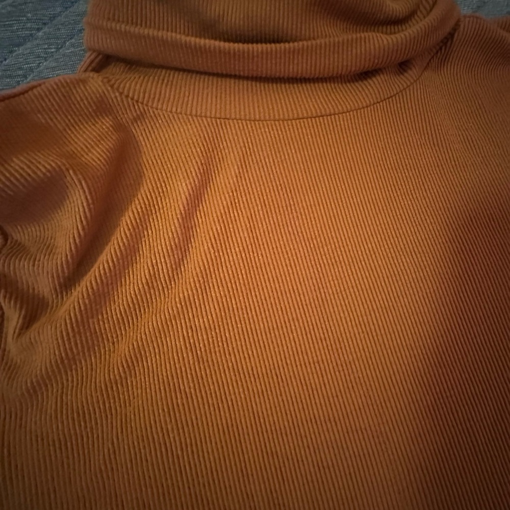 LOFT Rust Turtleneck Ribbed Top - Picture 2 of 4